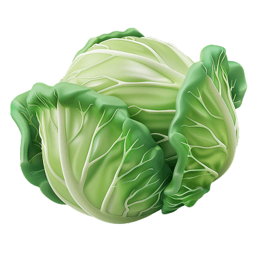 cabbage